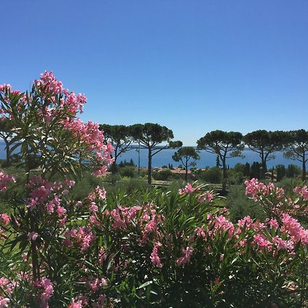 Agriturismo Nonna Bettina モニーガ・デル・ガルダ エクステリア 写真