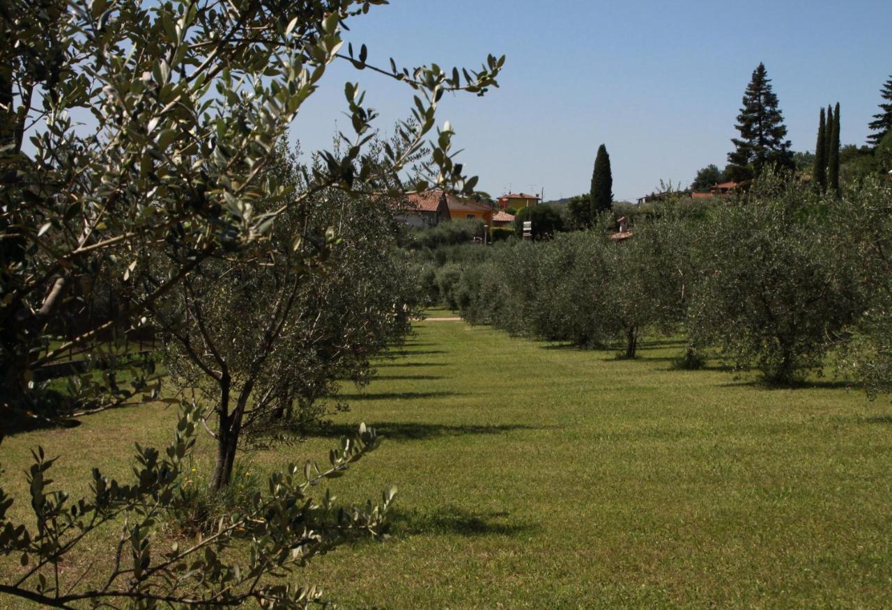 Agriturismo Nonna Bettina モニーガ・デル・ガルダ エクステリア 写真