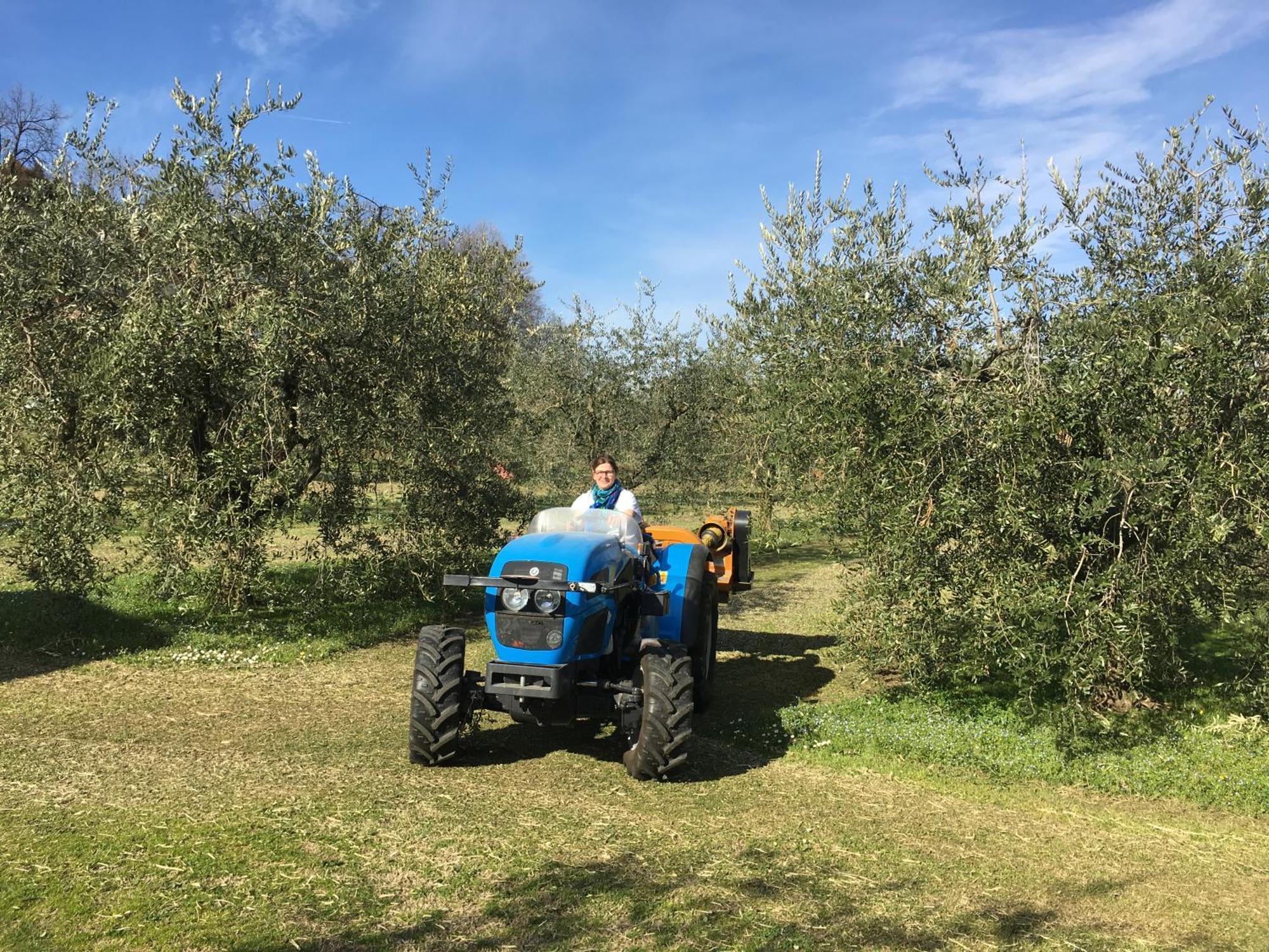 Agriturismo Nonna Bettina モニーガ・デル・ガルダ エクステリア 写真