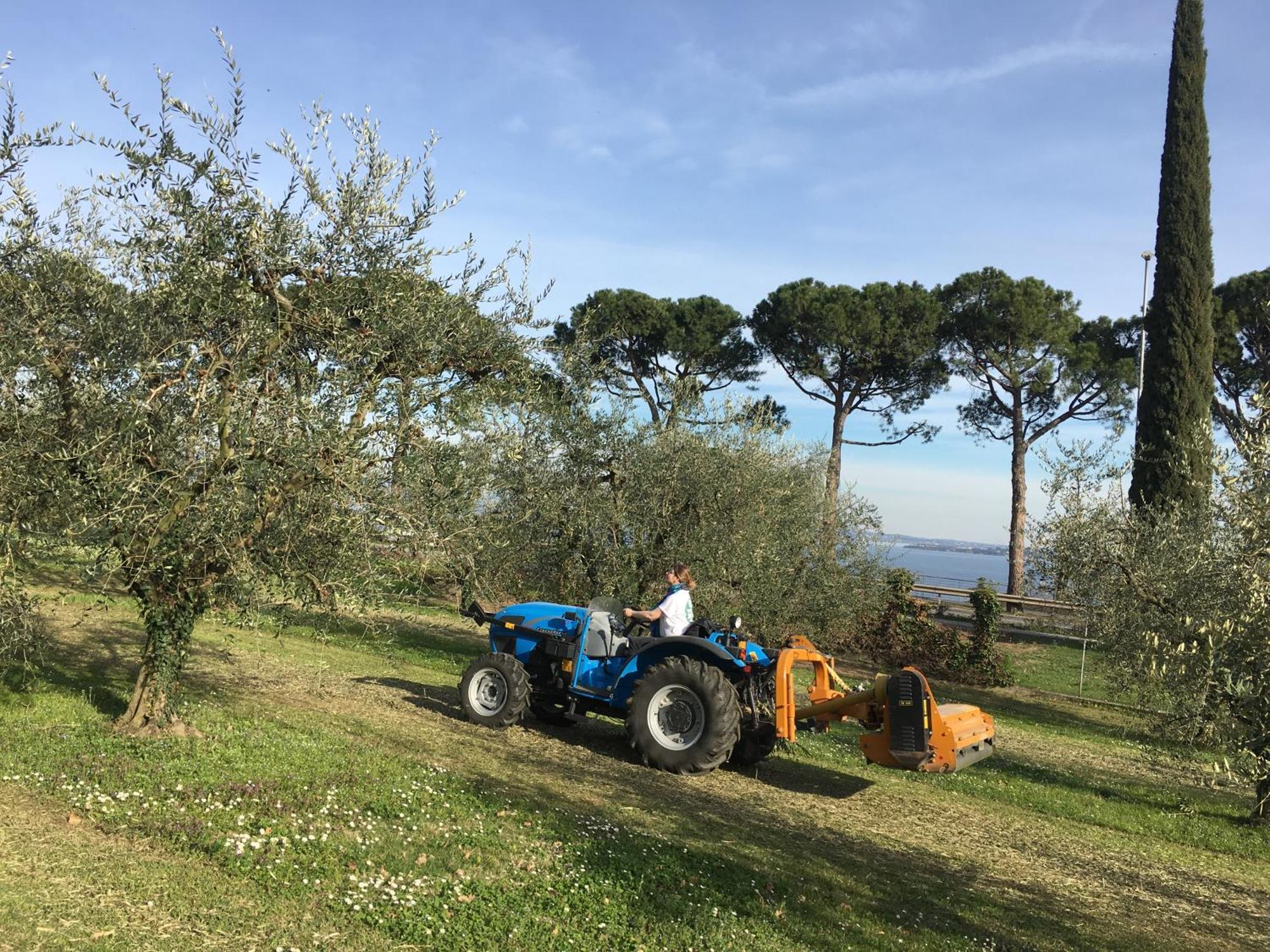 Agriturismo Nonna Bettina モニーガ・デル・ガルダ エクステリア 写真