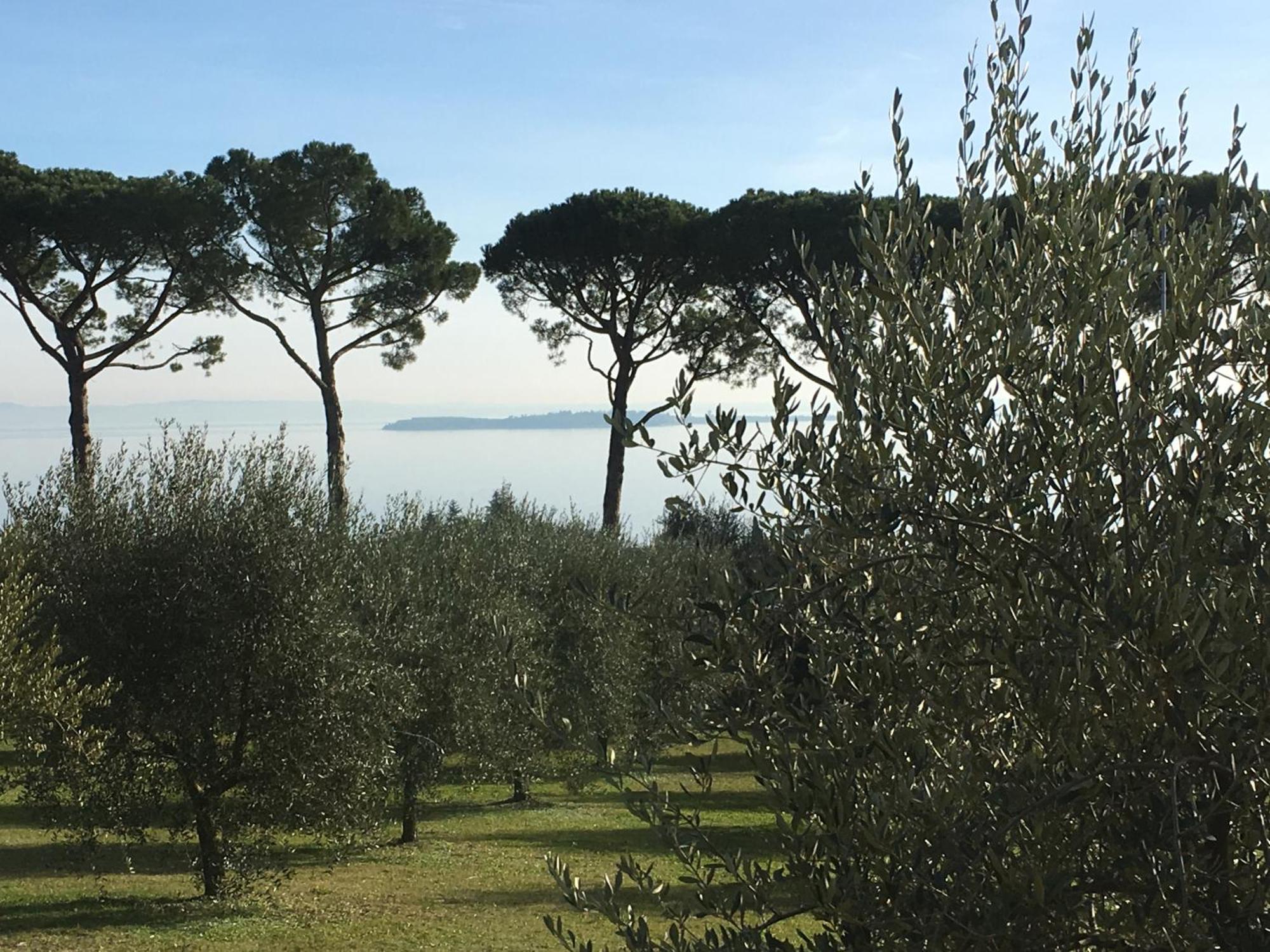 Agriturismo Nonna Bettina モニーガ・デル・ガルダ エクステリア 写真