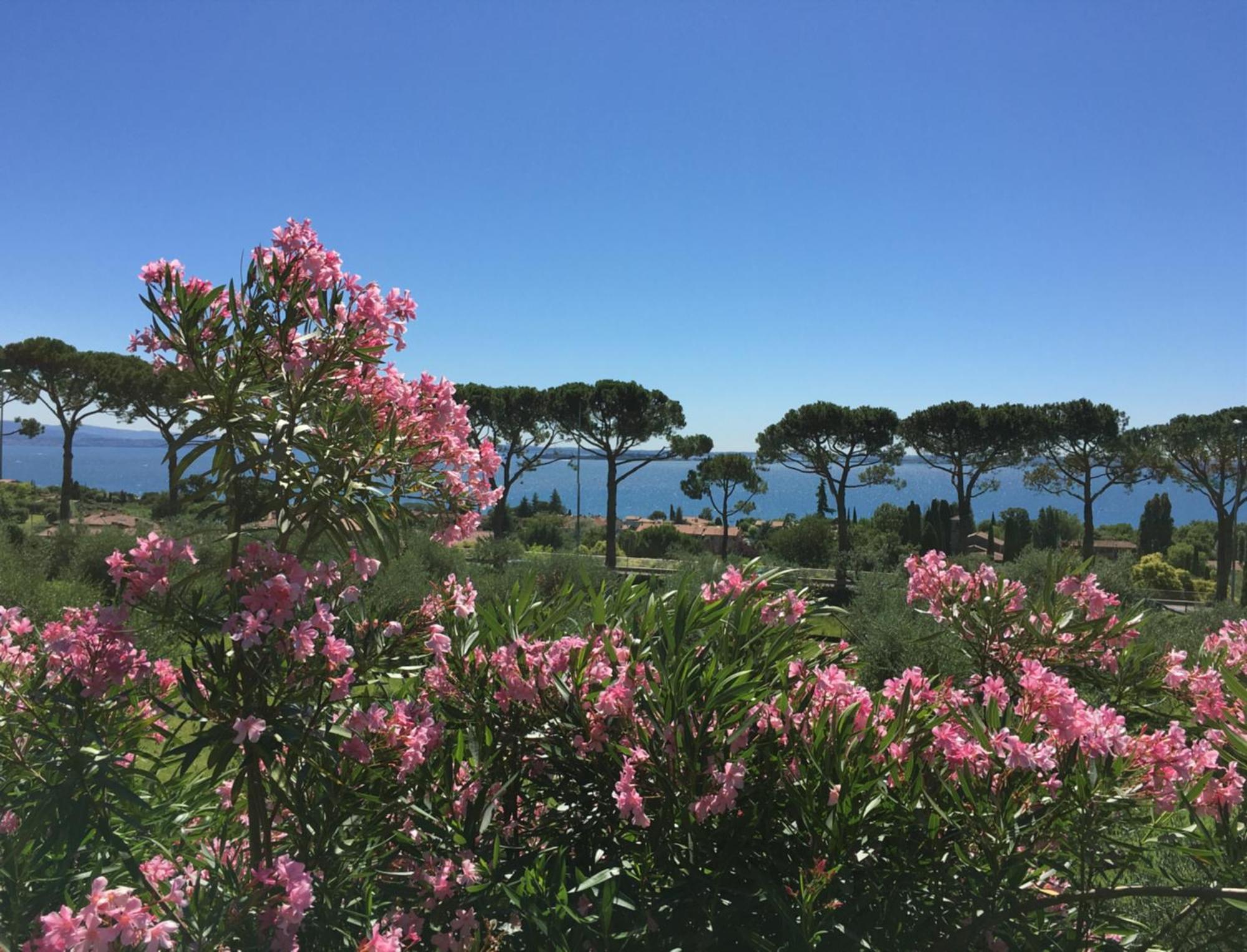 Agriturismo Nonna Bettina モニーガ・デル・ガルダ エクステリア 写真